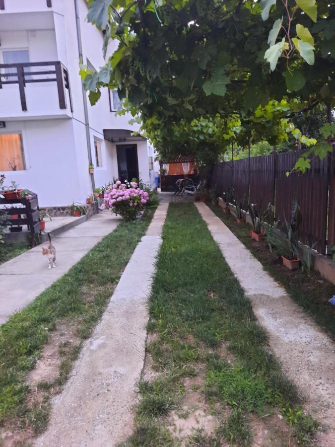 Апартаменты Casa Lica Качулата Экстерьер фото